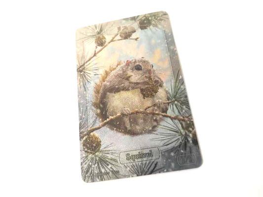 Children Educational 30mil Animal PVC Business Cards