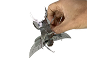 Diy 3D Insect Model Adult Metal Puzzle Stain Steel Material